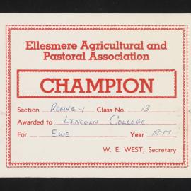 Ellesmere A&P Show Certificate, 1977, Champion, Lincoln College, Romney Ewe (Class 13)