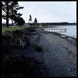 1972 Manapouri pilot study 10