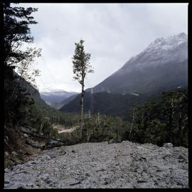 1972 Manapouri pilot study 13