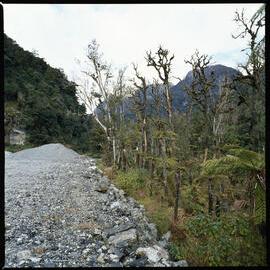 1972 Manapouri pilot study 26