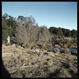 1972 Manapouri pilot study 29