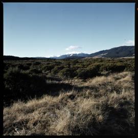 1972 Manapouri pilot study 31