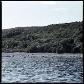 1972 Manapouri pilot study 37
