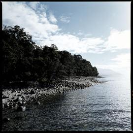 1972 Manapouri pilot study 43