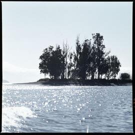 1972 Manapouri pilot study 45