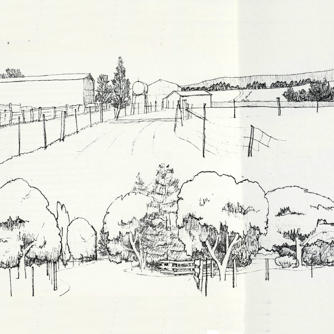 Golden Downs Farm - Julia Adams, 1982