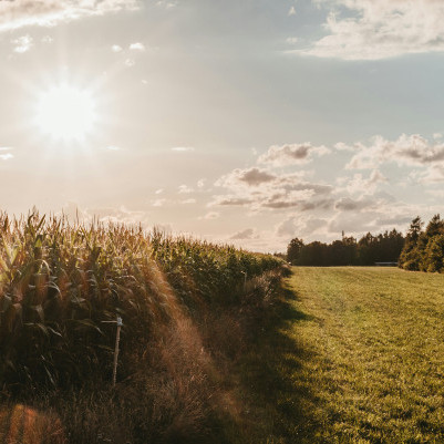 06 May 2025
Navigating Climate Challenges: Balancing Sustainability and Agricultural Productivity