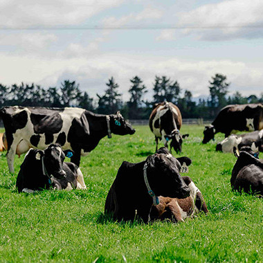 24 March 2025
What are non-tariff barriers and why is agriculture so exposed?