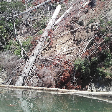 27 June 2025
The Conversation: Why proposed changes to forestry rules won’t solve the ‘slash’ problem