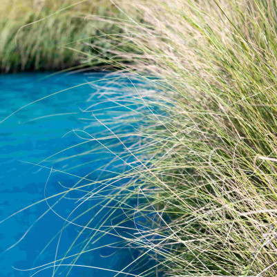 16 May 2025 
Dispelling the myth that freshwater regulation negatively impacts farm values