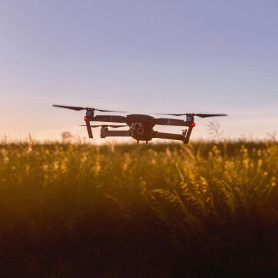 26 August 2025
Future Farming: Embracing Technology for Economic Resilience
