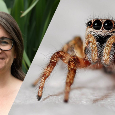 17 September 2025 
Not so creepy crawly research