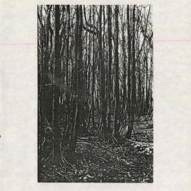 The Brandenburg Coppice, Lincoln College