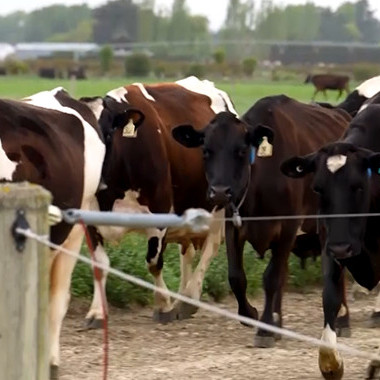 14 October 2025
Sustainable farming in focus: Integral Dairy Health Farm features on ThreeNow