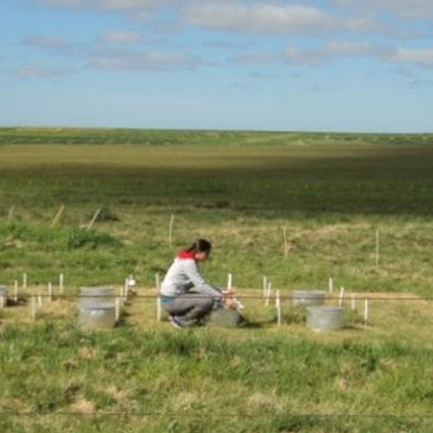 12 August 2025 
Understanding Reactive Nitrogen: Implications for Agriculture, Environment and Climate