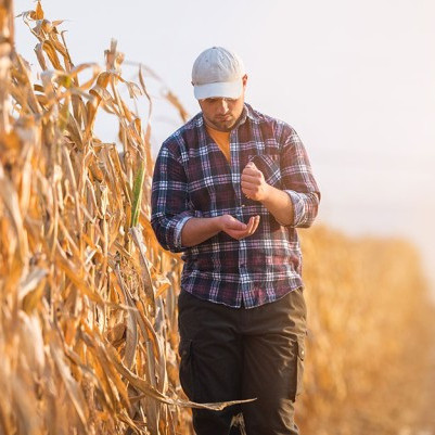 28 November 2025
The role of so-called 'accidental counsellors' in supporting mental health of farmers