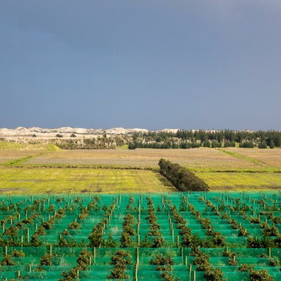 01 October 2025
The Future of Land Use and How to Fund It
