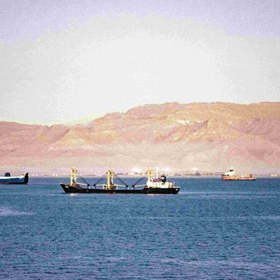 08 August 2026
On The Conversation: Ships in the Strait of Hormuz may be biosecurity risks when they leave