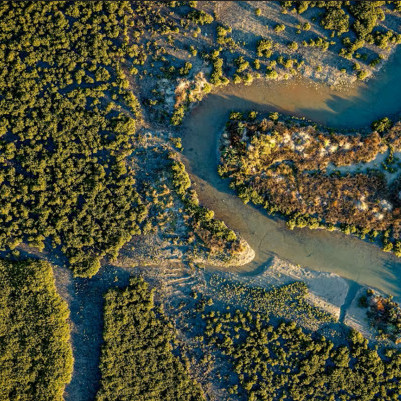 13 August 2025
Valuing Nature to Restore Coasts: A Dynamic Economic Framework for Wetland Restoration