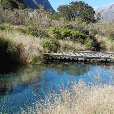 28 August 2025
The Conversation: Why entry fees at iconic natural attractions could have hidden costs