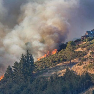 21 October 2025
Fire Ecology: Science, Risk, and Resilience