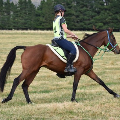 16 October 2025
Huge wave of Agri Futures Scholarships supports new and existing Lincoln Students