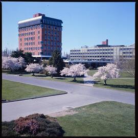 Lincoln campus in spring, 1976 01