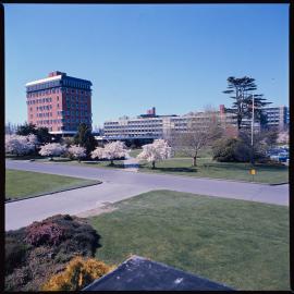 Lincoln campus in spring, 1976 01