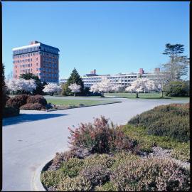 Lincoln campus in spring, 1976 02