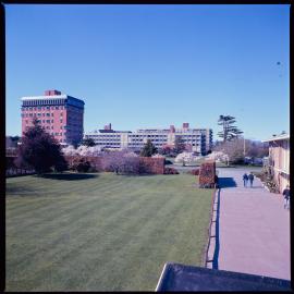 Lincoln campus in spring, 1976 03