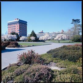 Lincoln campus in spring, 1976 04