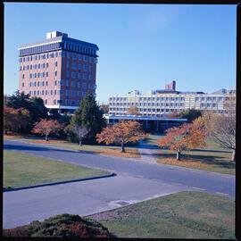 Geoge Forbes Building and Hilgendorf Building, 1976