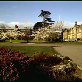 Campus view in spring, 1977 (3)