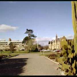 Campus view in spring, 1977 (4)