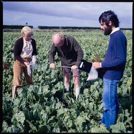 Plant Science Staff and students in field, 1977 (1)