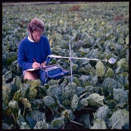 Plant Science Staff and students in field, 1977 (2)