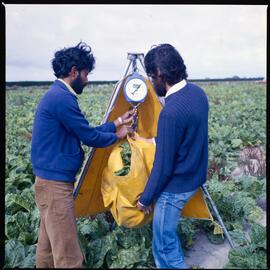Plant Science Staff and students in field, 1977 (4)