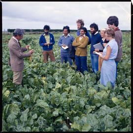 Plant Science Staff and students in field, 1977 (6)