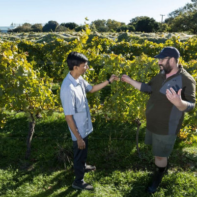 14 January 2025
Sharing insights on impact of climate change on viticulture