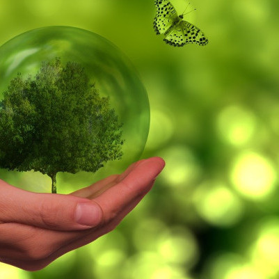 05 February 2025
Lincoln University achieves green campus status in GreenMetric World University Rankings