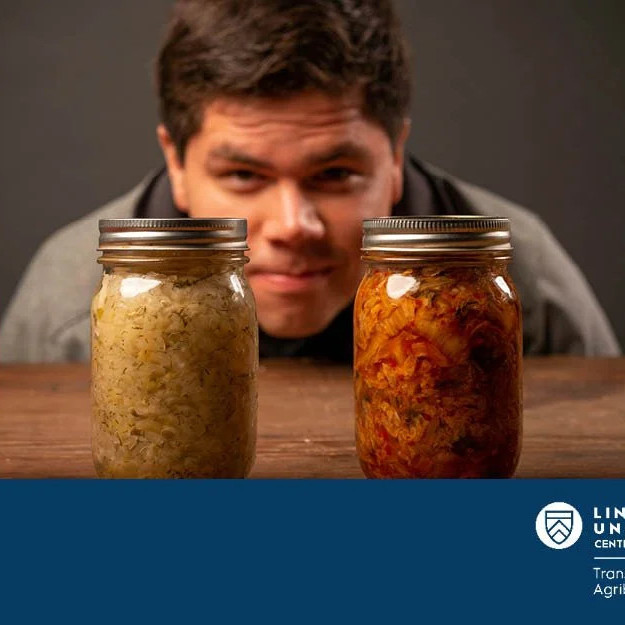 5 November 2025
Innovative Functional Foods: Polyphenols & Probiotics
