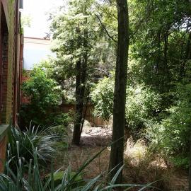 2018 Ivey Hall garden 06