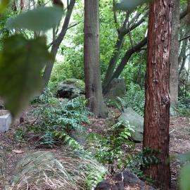 2018 Ivey Hall garden 09