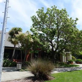 2018 Sculpture and Stewart Building 01