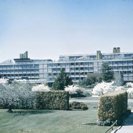 Spring in Lincoln campus, Hilgendorf and Burns building in the background