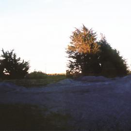 Lincoln Village Old Station yard - Macrocarpa trees half cut, 14 May 1990