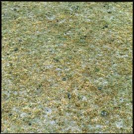 Pastures, 1980 (1)