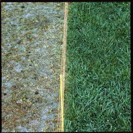 Pastures, 1980 (2)
