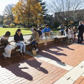2025 Rā Whakamana Lincoln University (337)
