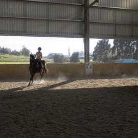 Telford Equine covered arena